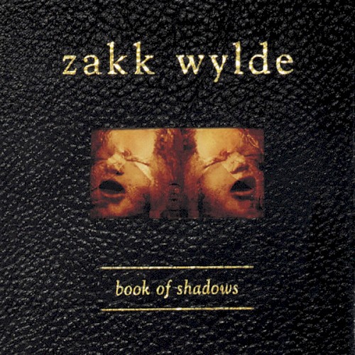 Book of Shadows封面
