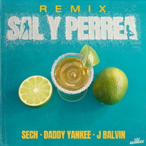 Sal y perrea (remix)封面