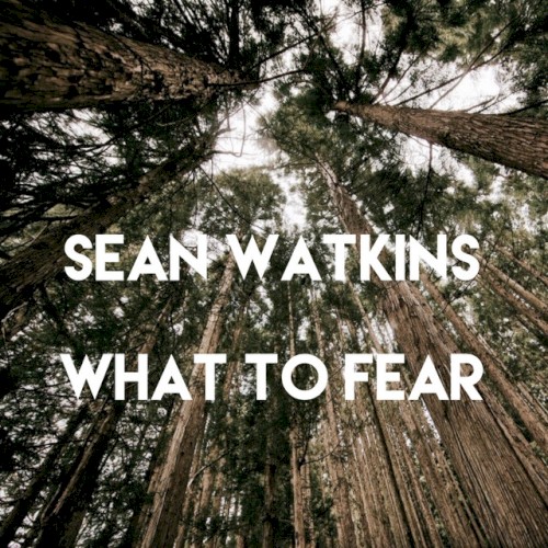 What to Fear封面