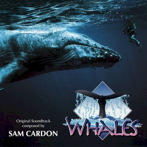 Whales封面