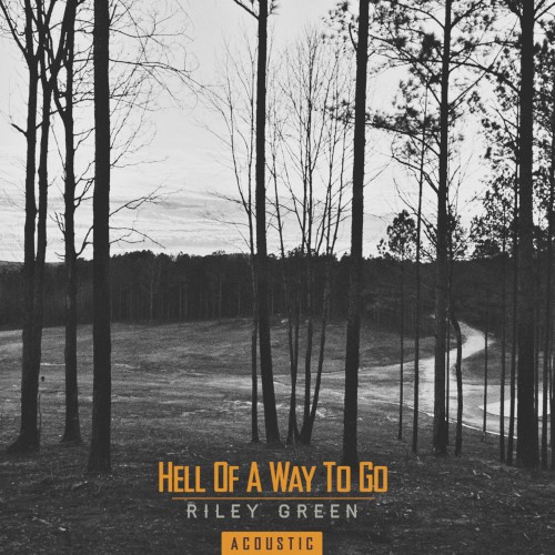 Hell of a Way to Go (acoustic)封面