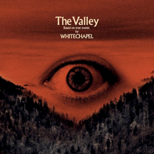 The Valley封面