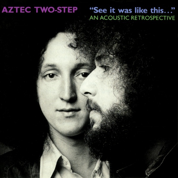 See It Was Like This... An Acoustic Retrospective封面