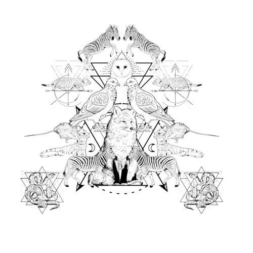 Metamorphosis封面