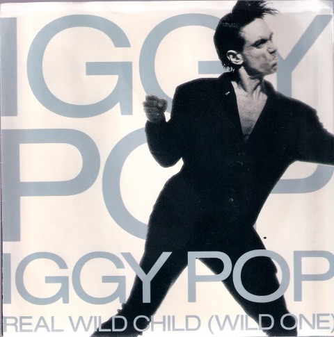 Real Wild Child (Wild One)封面