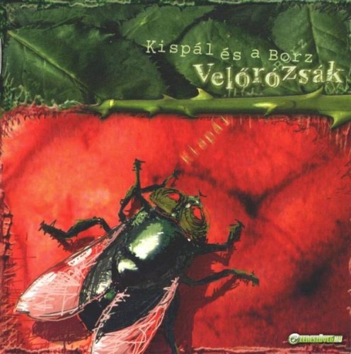 Velőrózsák封面