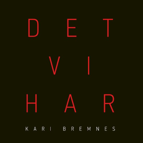 Det vi har封面