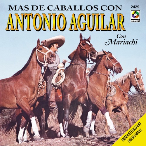 Más de caballos封面