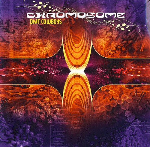 DMT Cowboys封面
