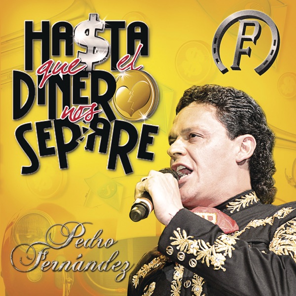 Hasta que el dinero nos separe封面