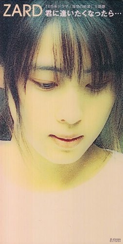君に逢いたくなったら…封面