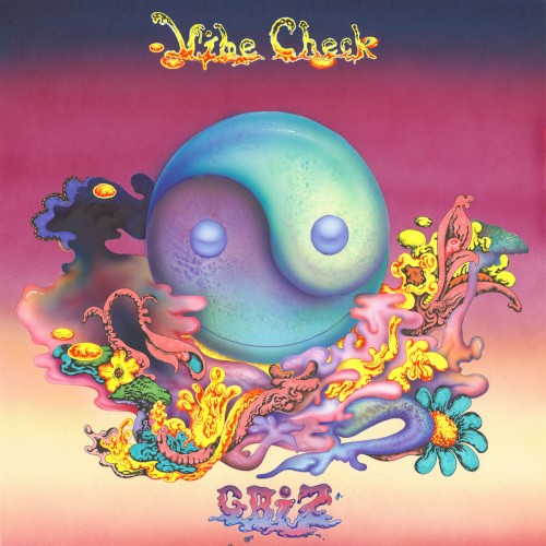 Vibe Check封面