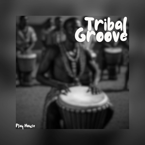 Tribal Groove封面