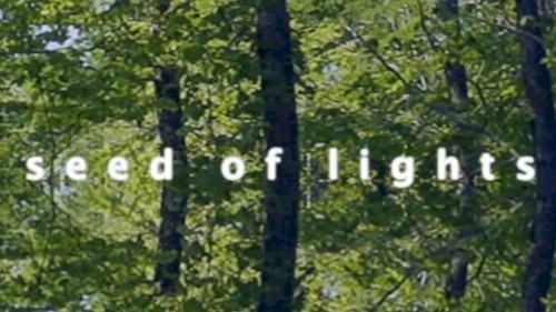 seed of lights封面