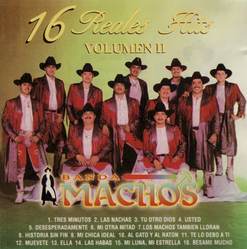 16 Reales Hits Volumen II封面