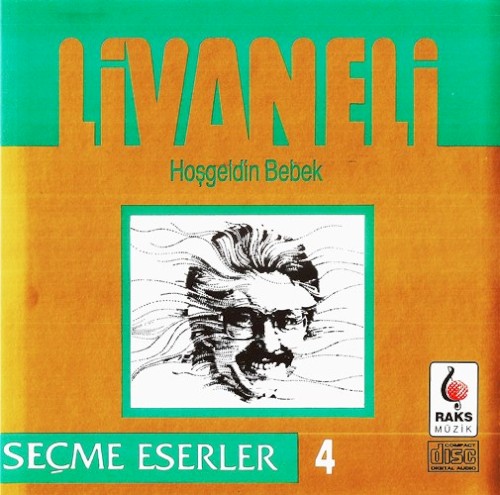 Hoşgeldin Bebek封面