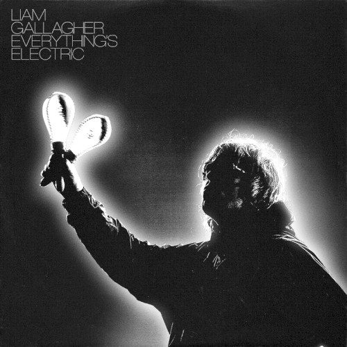 Everything’s Electric封面
