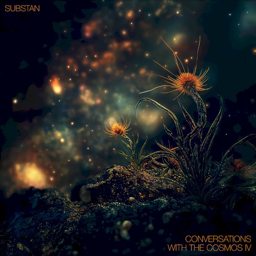 conversations with the cosmos IV封面