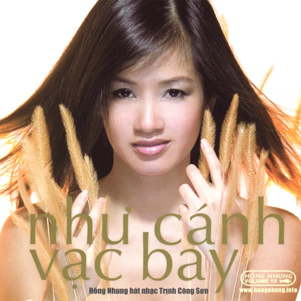 Như cánh vạc bay封面