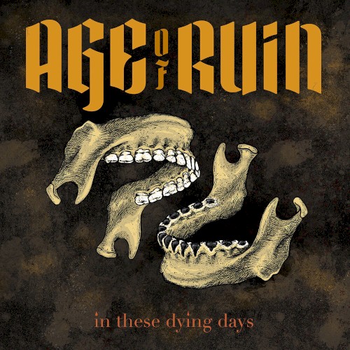 In These Dying Days封面
