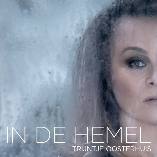 In de hemel封面