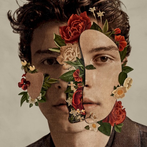 Shawn Mendes封面