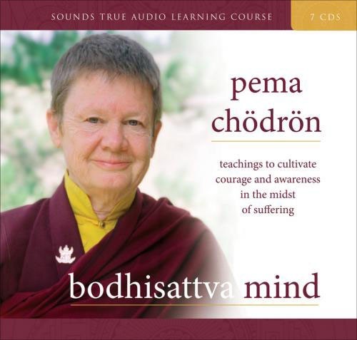 Bodhisattva Mind: Teachings to Cultivate Courage and Awareness in the Midst of Suffering封面