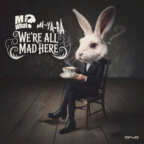 We R All Mad Here封面