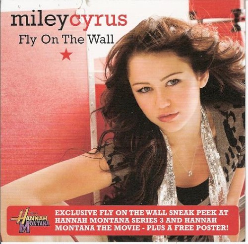Fly on the Wall封面
