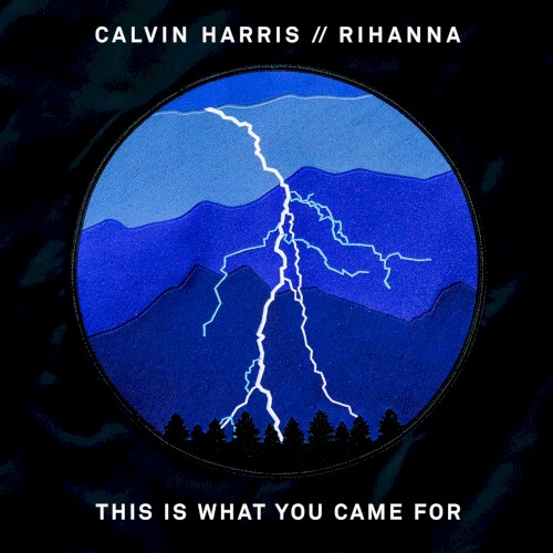 This Is What You Came For封面