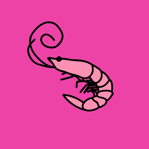 Flamingo封面