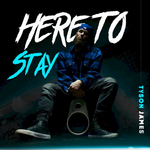 Here to Stay封面