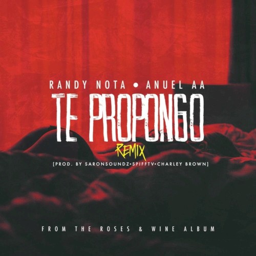 Te propongo (remix)封面