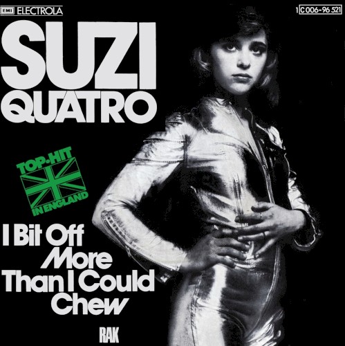 I Bit Off More Than I Could Chew封面
