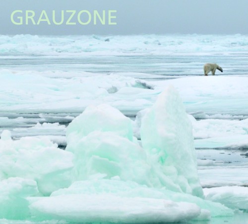 Grauzone 1980-1982 Remastered封面