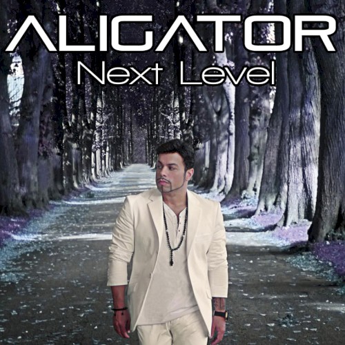 Next Level封面