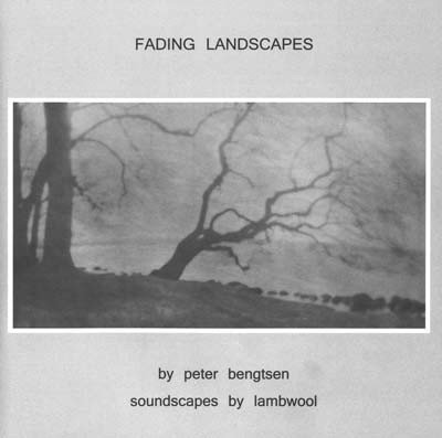 Fading Landscapes封面