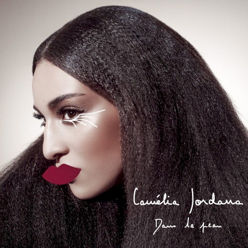 Dans la peau (edit radio)封面