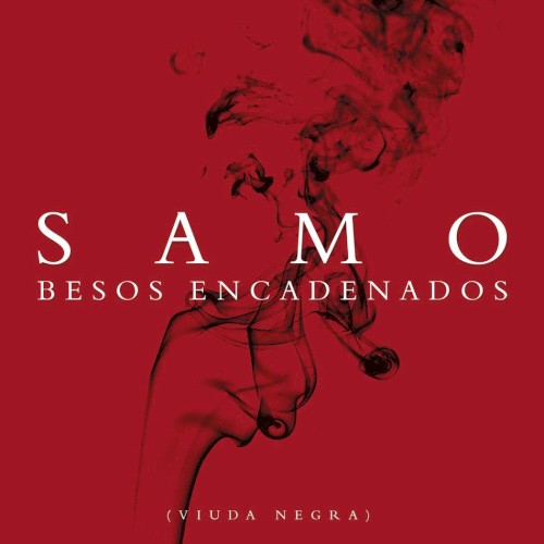 Besos encadenados (La viuda negra)封面