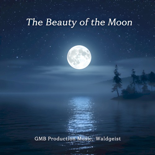 The Beauty of the Moon封面