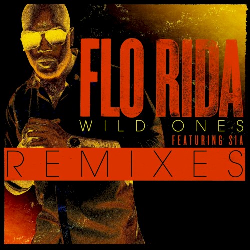 Wild Ones (remixes)封面