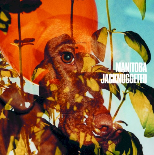 Jacknuggeted封面