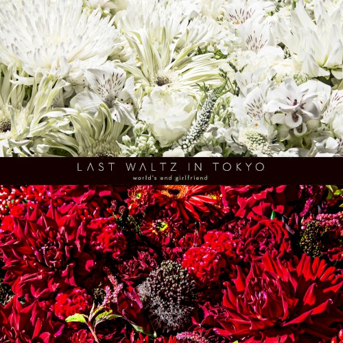LAST WALTZ IN TOKYO封面