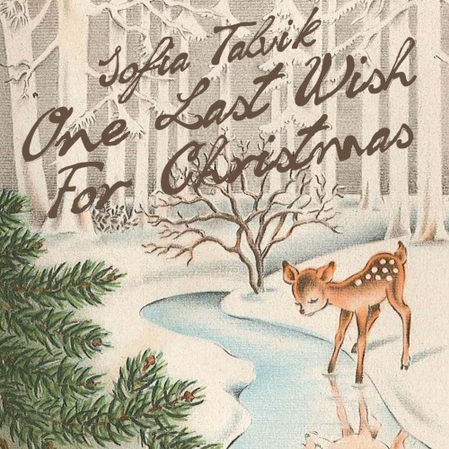 One Last Wish for Christmas封面