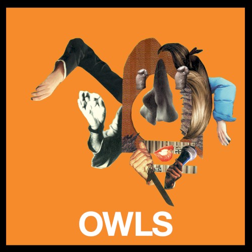 Owls封面