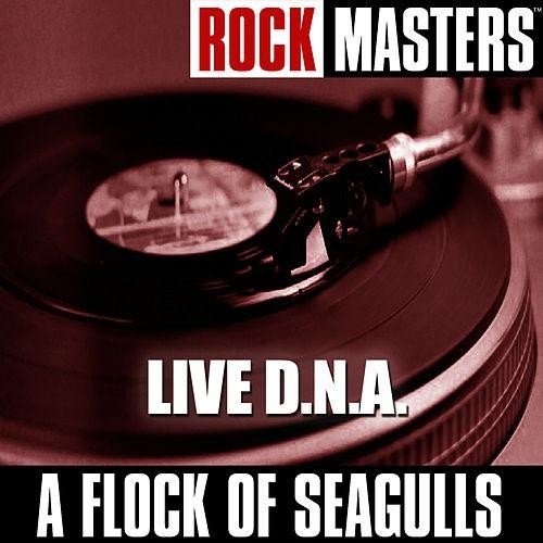 Rock Masters: Live D.N.A.封面