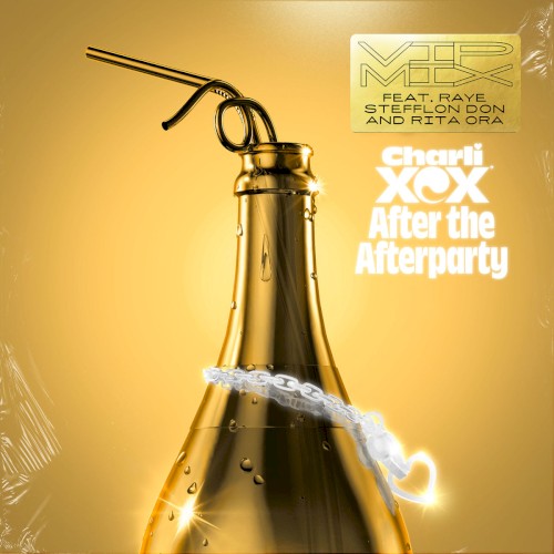 After the Afterparty (VIP mix)封面