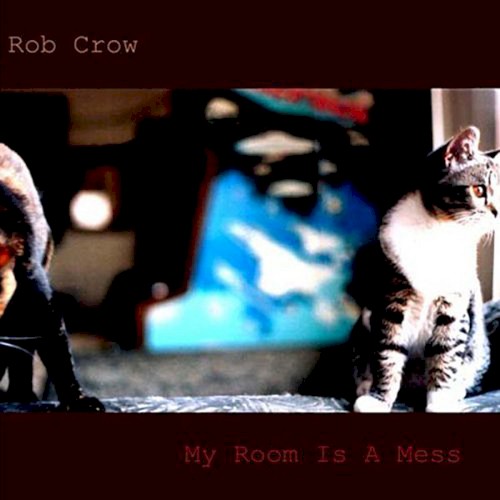 My Room Is a Mess封面
