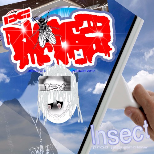 Insect封面