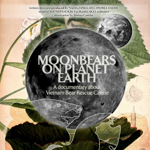 Moonbears on Planet Earth: Original Soundtrack封面
